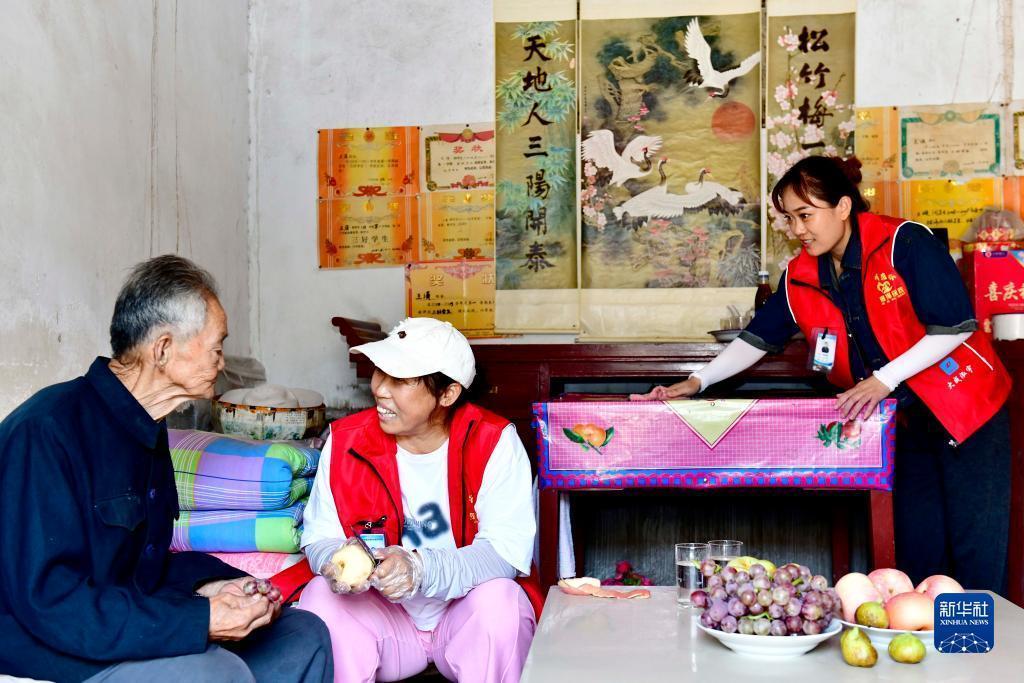 摇钱树至尊版电脑版